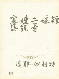 寡嫂二嫁短剧全集观看