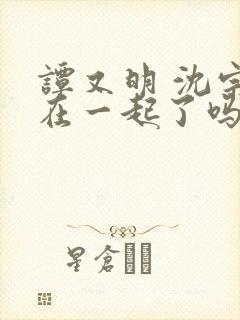 谭又明 沈宗年在一起了吗