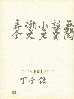 弄潮小说无删减全文免费阅读封面