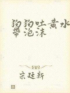 狗狗吐黄水粘稠带泡沫