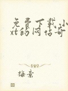 免费下载小说txt的网站奇书网