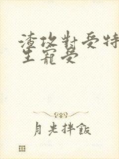 渣攻对受特坏重生宠受