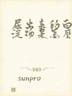 尿出来的白色沉淀物是怎么回事