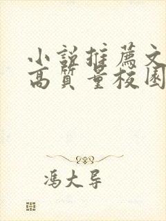 小说推荐文笔好高质量校园文封面