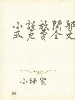 小说放开那个女巫免费全文阅读