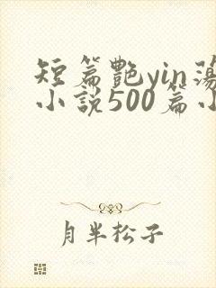 短篇艳yin荡小说500篇小说封面