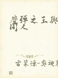 魔弹之王与战姬同人