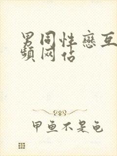 男同性恋互操视频网站