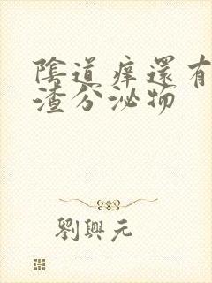 阴道痒还有豆腐渣分泌物