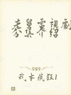 老舅电视剧剧情分集介绍