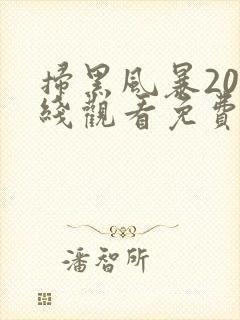 扫黑风暴20在线观看免费完整版2021封面