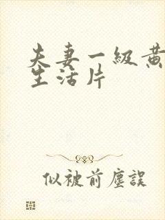 夫妻一级黄色性生活片