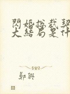 闪婚总裁契约妻大结局是什么