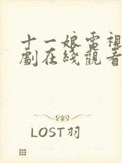 十一娘电视连续剧在线观看全集免费封面