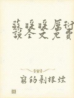 苏暖暖厉衍琛小说全文免费阅读