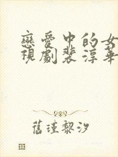 恋爱中的女人电视剧裴淳华版封面