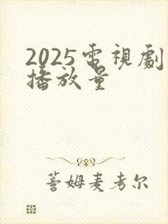 2025电视剧播放量