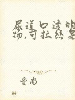 尿道口透明分泌物,可拉丝是怎么回事