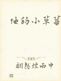 他的小草莓封面