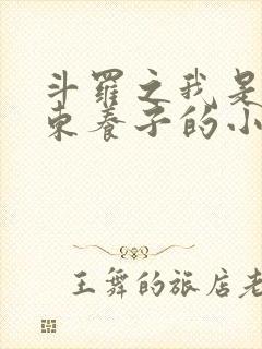 斗罗之我是比比东养子的小说