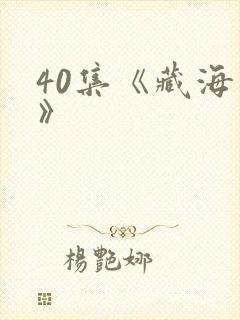 40集《藏海传》封面