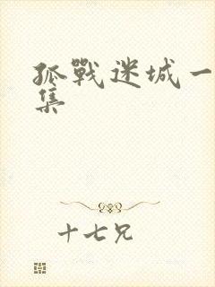 孤战迷城一共几集