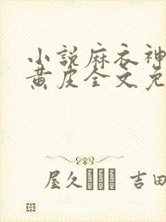 小说麻衣神婿陈黄皮全文免费阅读