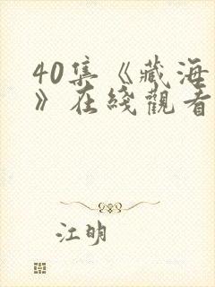 40集《藏海传》在线观看封面