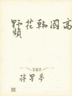 野花韩国高清视频
