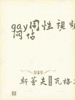 gay同性视频网站
