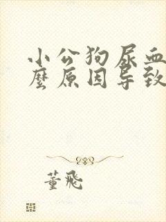 小公狗尿血是什么原因导致的