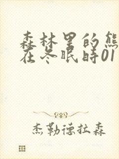 森林里的熊先生在冬眠时01封面