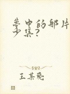 梦中的那片海多少集?封面