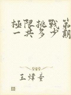 极限挑战第一季一共多少期