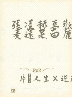 张凌赫喜欢赵今麦还是白鹿