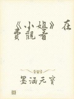 《小姐》在线免费观看