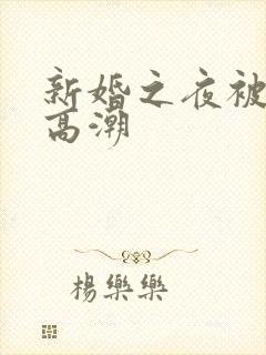 新婚之夜被躁b高潮