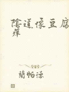 阴道像豆腐渣还痒