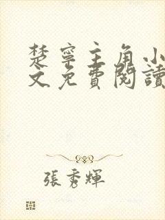 楚宁主角小说全文免费阅读封面