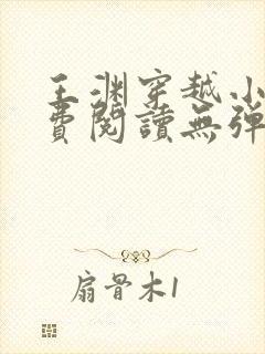 王渊穿越小说免费阅读无弹窗