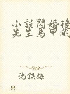 小说闪婚后:傅先生马甲藏不住了阅读封面