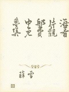 梦中那片海46集免费观看完整版