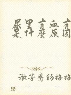 尿里有血有加号是什么原因