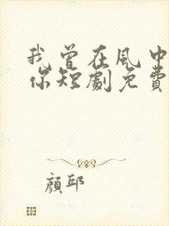 我曾在风中遇见你短剧免费观看封面