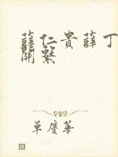 薛仁贵薛丁山的关系