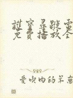 护宝寻踪电视剧免费播放全集完整版高清