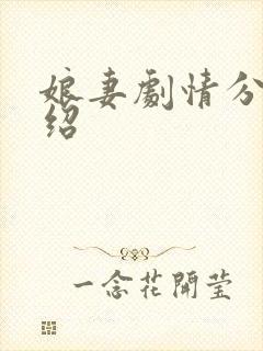 娘妻剧情分集介绍封面