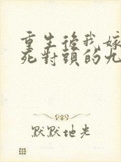 重生后我嫁给了死对头的九叔