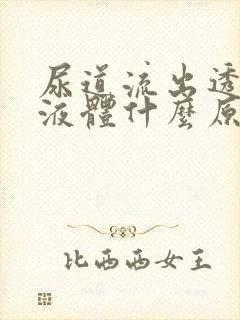 尿道流出透明的液体什么原因