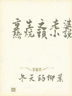 重生之老婆孩子热炕头小说